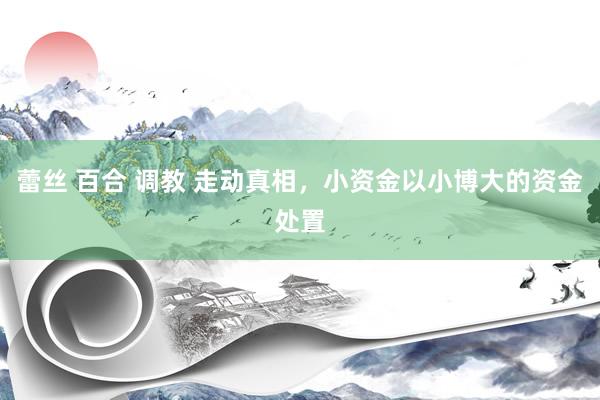 蕾丝 百合 调教 走动真相，小资金以小博大的资金处置