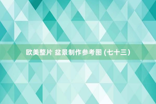 欧美整片 盆景制作参考图 (七十三）