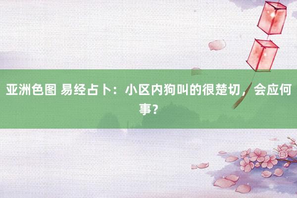 亚洲色图 易经占卜：小区内狗叫的很楚切，会应何事？