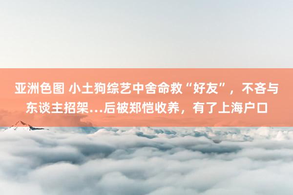 亚洲色图 小土狗综艺中舍命救“好友”，不吝与东谈主招架…后被郑恺收养，有了上海户口