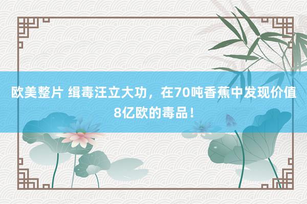 欧美整片 缉毒汪立大功，在70吨香蕉中发现价值8亿欧的毒品！