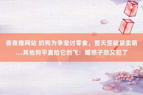 夜夜撸网站 奶狗为争宠讨零食，整天歪脑袋卖萌…其他狗平直给它创飞：媚惑子劲又犯了
