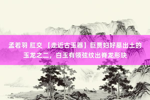 孟若羽 肛交 【走近古玉器】巨贾妇好墓出土的玉龙之二，白玉有领弦纹出脊龙形玦