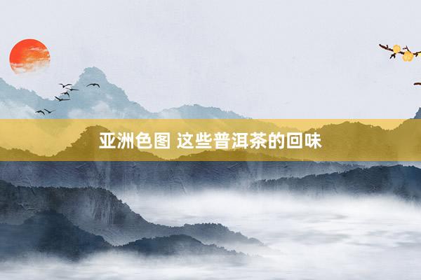 亚洲色图 这些普洱茶的回味