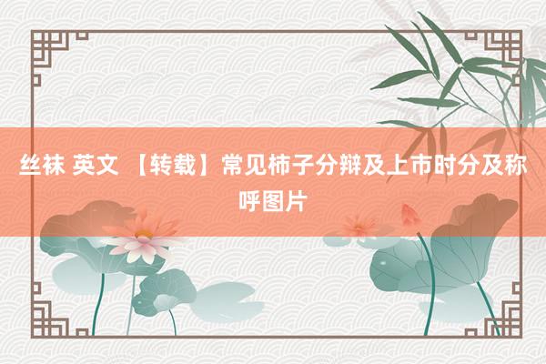 丝袜 英文 【转载】常见柿子分辩及上市时分及称呼图片