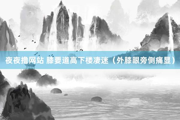 夜夜撸网站 膝要道高下楼凄迷（外膝眼旁侧痛显）