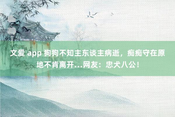 文爱 app 狗狗不知主东谈主病逝，痴痴守在原地不肯离开…网