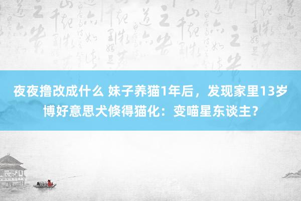 夜夜撸改成什么 妹子养猫1年后，发现家里13岁博好意思犬倏得