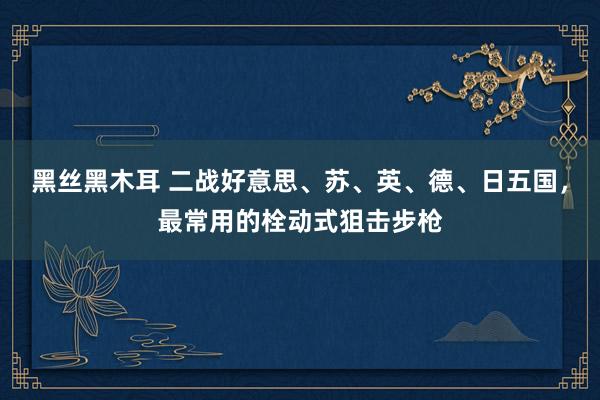 黑丝黑木耳 二战好意思、苏、英、德、日五国，最常用的栓动式狙