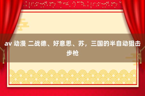 av 动漫 二战德、好意思、苏，三国的半自动狙击步枪