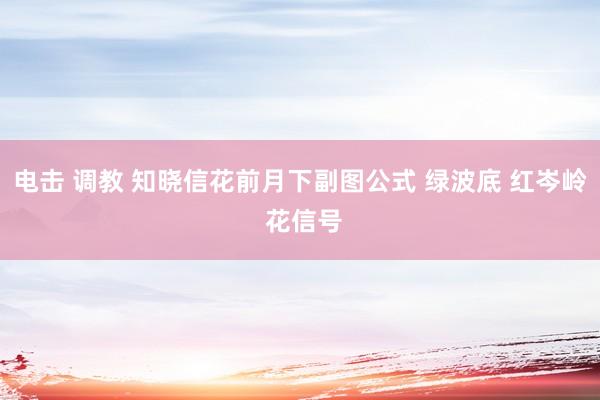 电击 调教 知晓信花前月下副图公式 绿波底 红岑岭 花信号