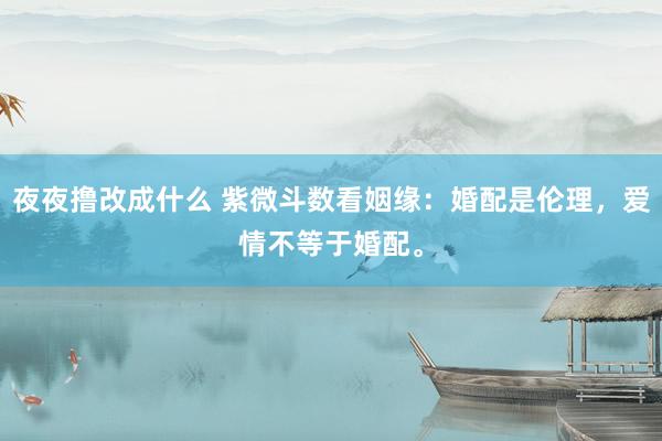 夜夜撸改成什么 紫微斗数看姻缘：婚配是伦理，爱情不等于婚配。
